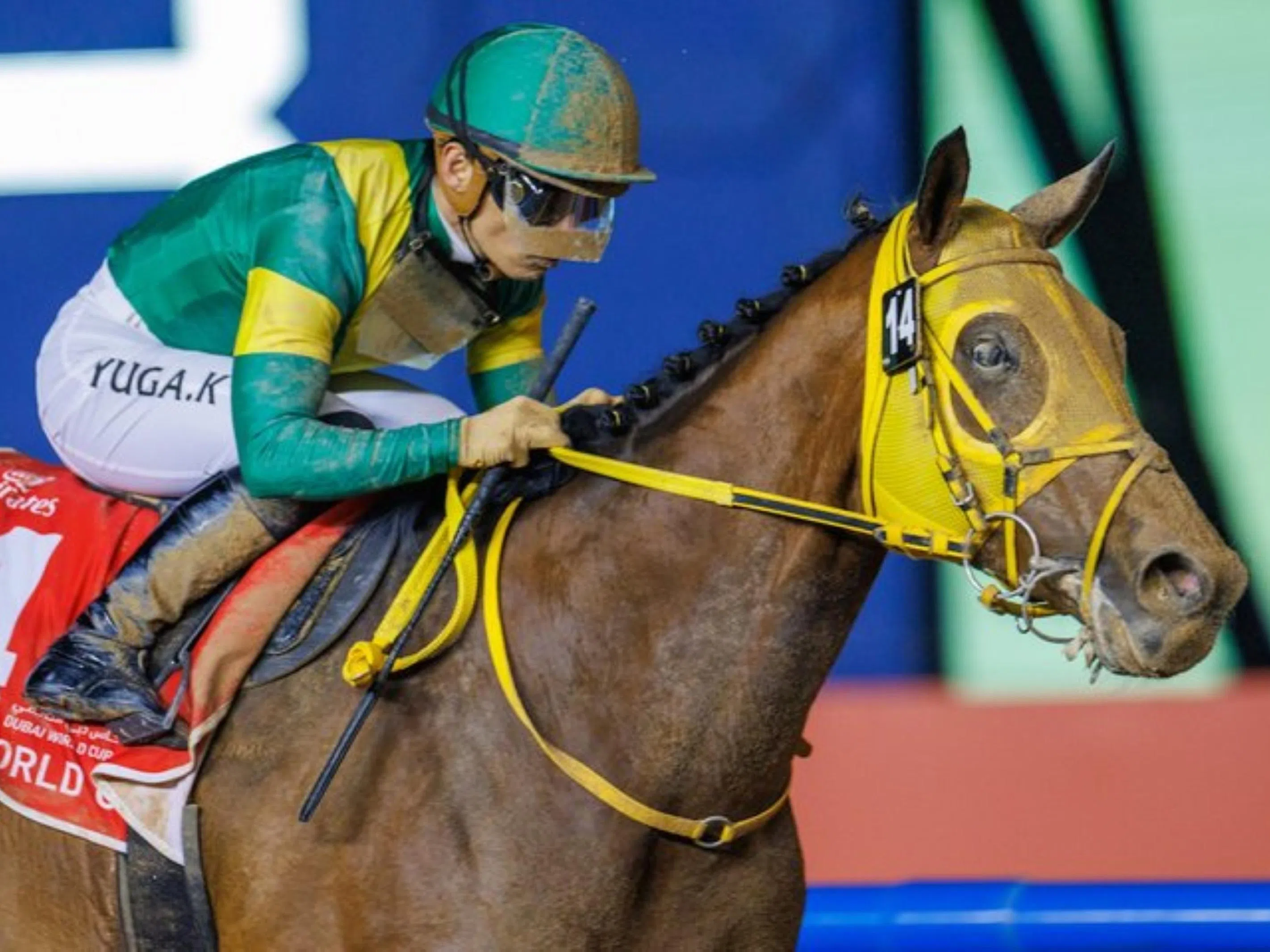 Dubai World Cup meeting at their feet